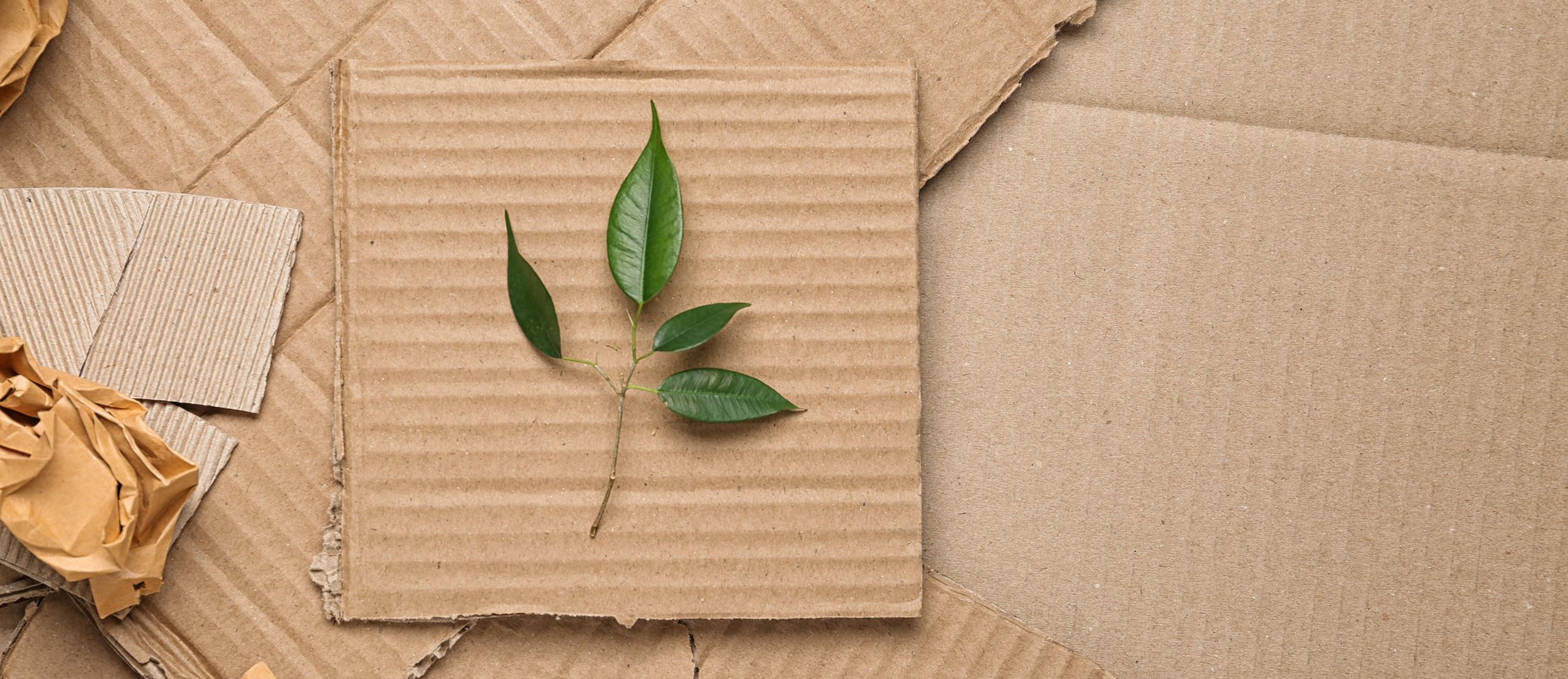 Projetado para o futuro